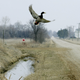 Photo via AP Images